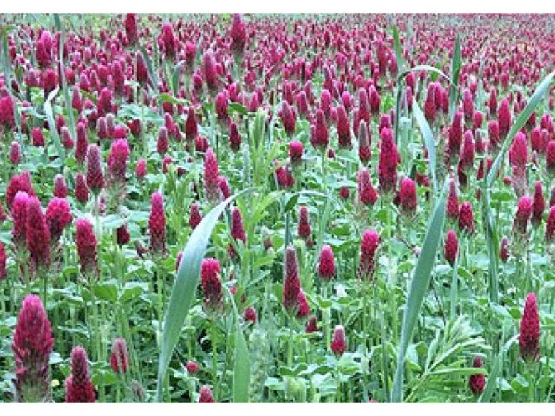 John S Mountain Wildlife Management Area Official Georgia Tourism Travel Website Explore Georgia Org