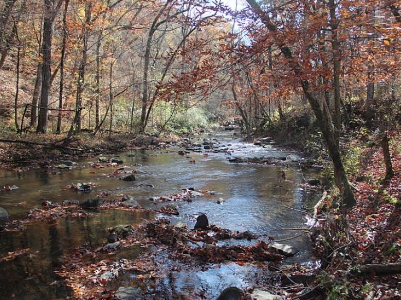 John's Mountain Wildlife Management Area Official Tourism