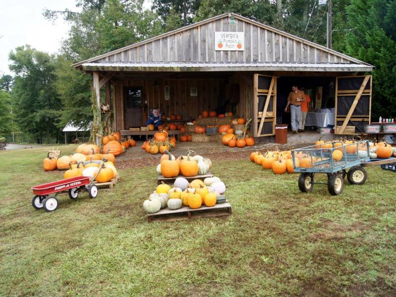 Wargo's Pumpkin Patch Official Tourism & Travel site