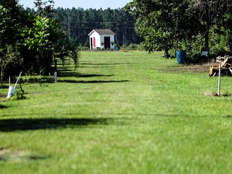 Brewer S Christmas Tree Blueberry Farm Official Georgia Tourism Travel Website Explore Georgia Org