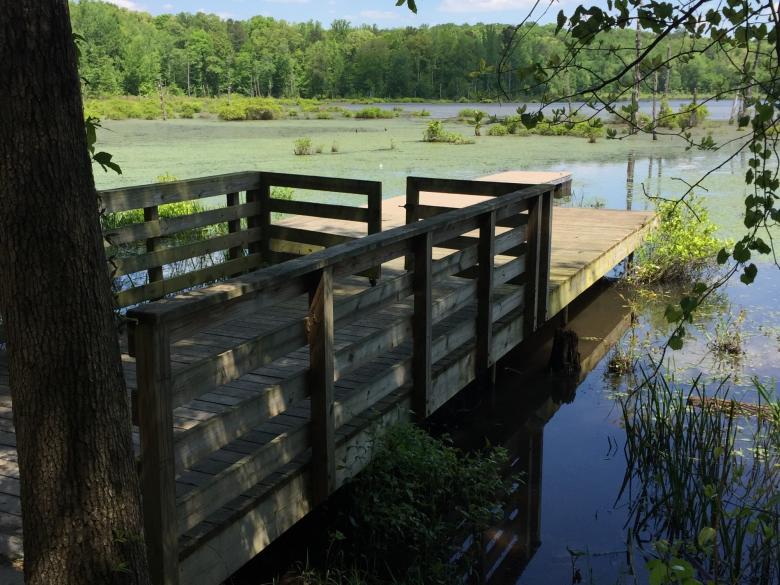 Big Haynes Creek Nature Center Official Tourism & Travel site Explore