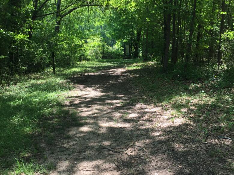 Big Haynes Creek Nature Center Official Tourism & Travel site Explore