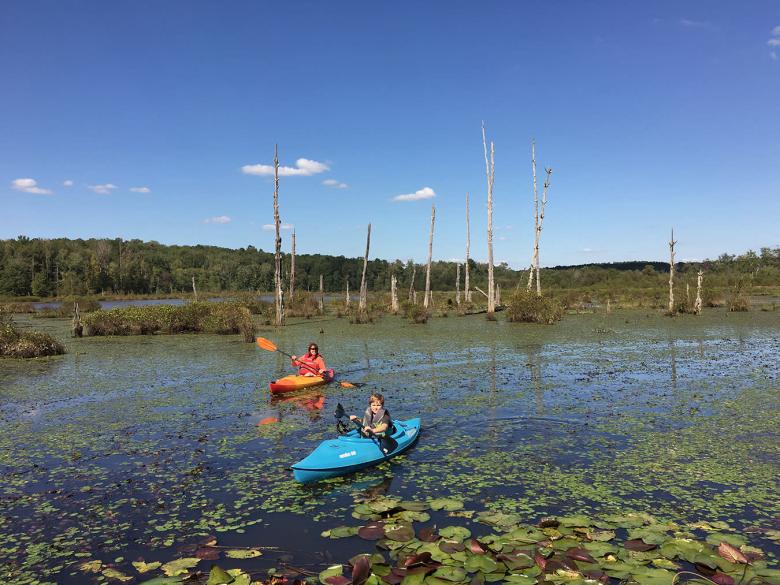 Big Haynes Creek Nature Center Official Tourism & Travel