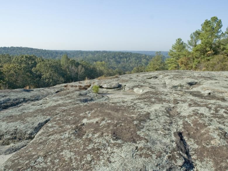 Panola Mountain State Park Official Tourism & Travel site