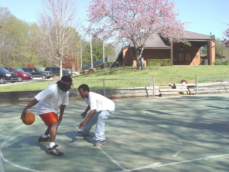 Pine Log Park Official Tourism & Travel site Explore