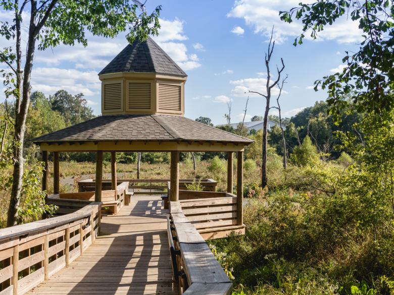 Carrollton GreenBelt Official Tourism & Travel site