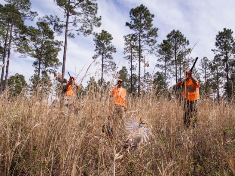 Quail Country Plantation Official Tourism & Travel site