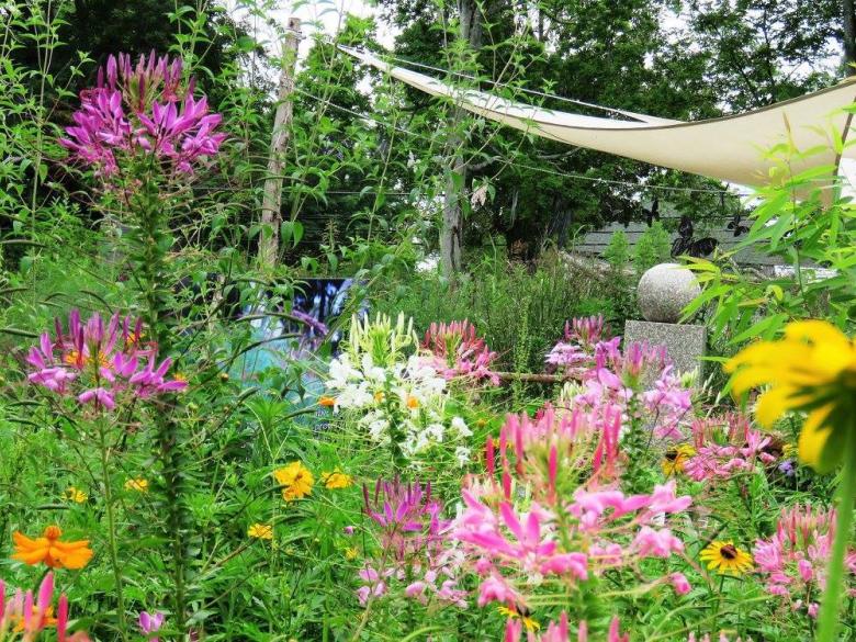 Butterflies & Blooms in the Briar Patch Official Tourism