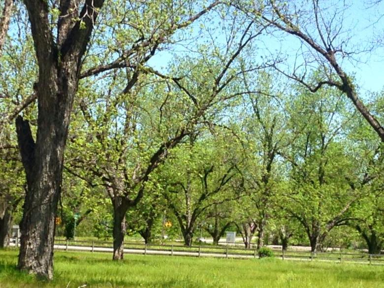 Sunnyland Farms, Inc. Official Tourism & Travel site