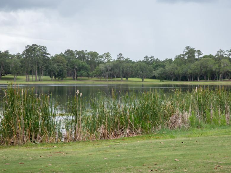 Quitman Country Club Official Tourism & Travel site