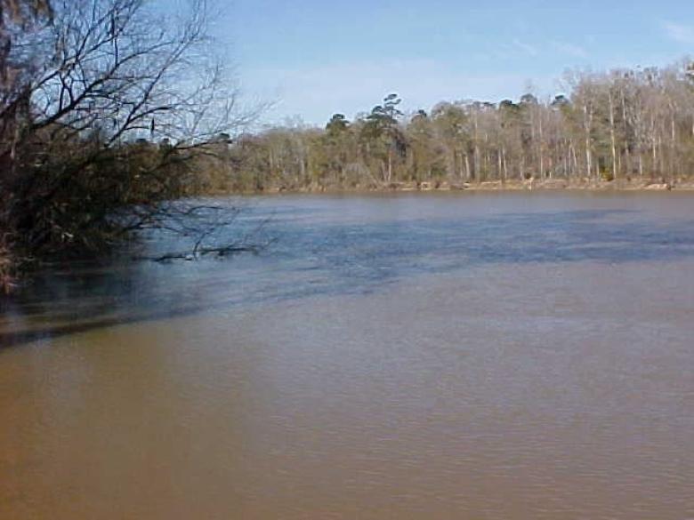 Ocmulgee River Ben Hill Landing Official Tourism & Travel
