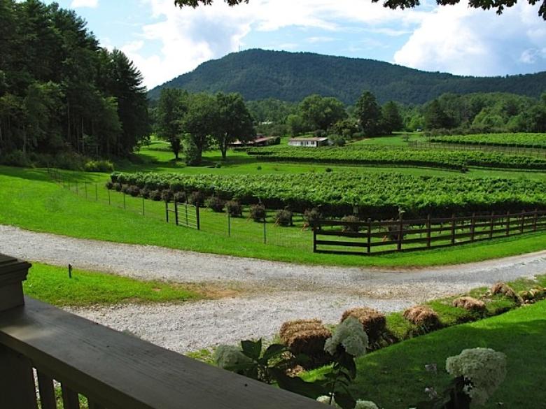 Stonewall Creek Vineyards Official Tourism & Travel Website