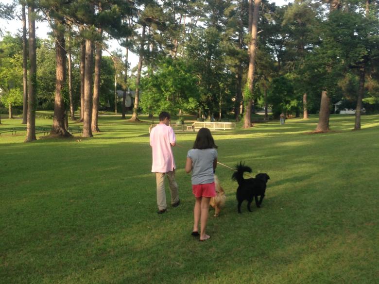 Stubbs Park Explore Georgia