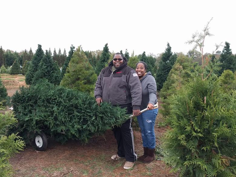 The Christmas Tree Farm At Yule Forest Official Georgia Tourism Travel Website Explore Georgia Org