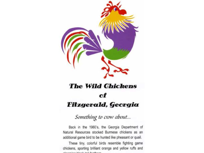 The Wild Chickens of Fitzgerald Official Tourism & Travel