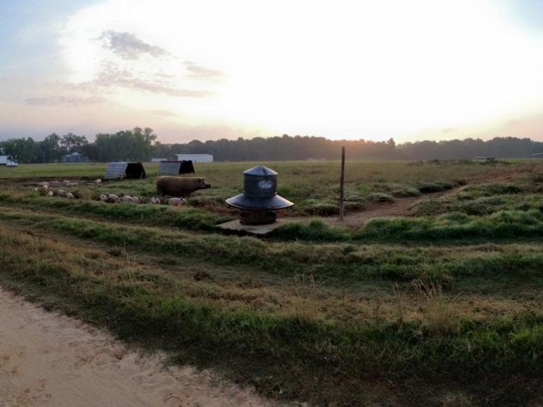 Thompson Farms Official Tourism & Travel site Explore