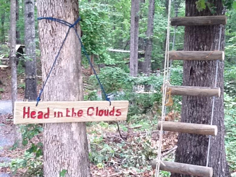 Treetop Quest Official Tourism & Travel site