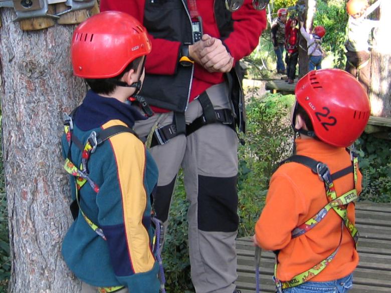 Treetop Quest Explore