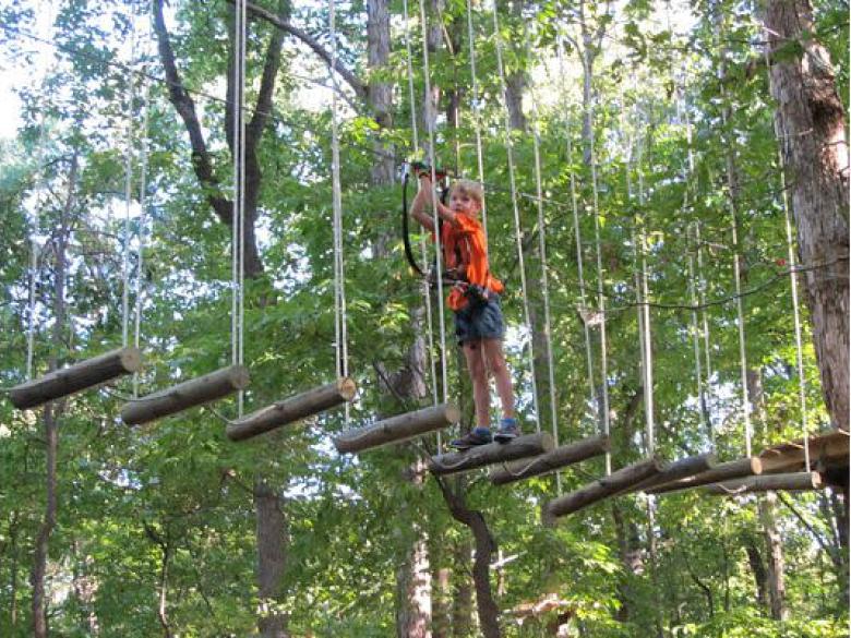 Treetop Quest Official Tourism & Travel Website