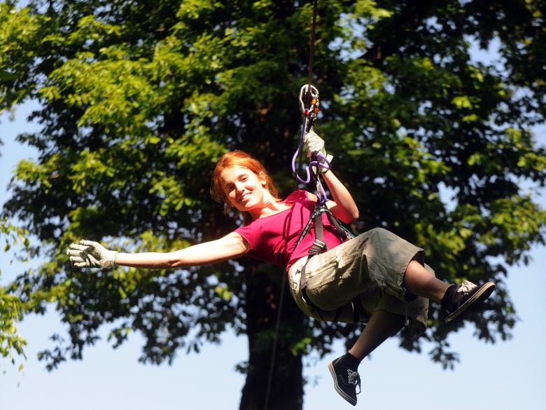 Treetop Quest Explore