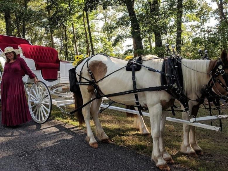 Daffodil Hill Farm & Carriage LLC Official Tourism & Travel