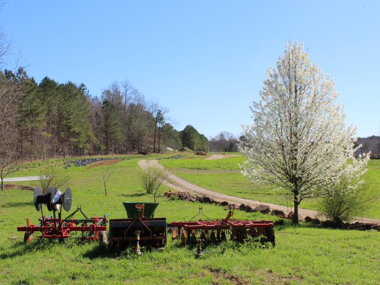 Serenbe Official Tourism & Travel site Explore