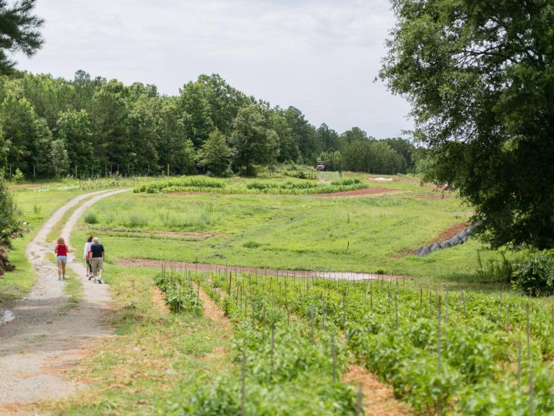 Serenbe Official Tourism & Travel site Explore