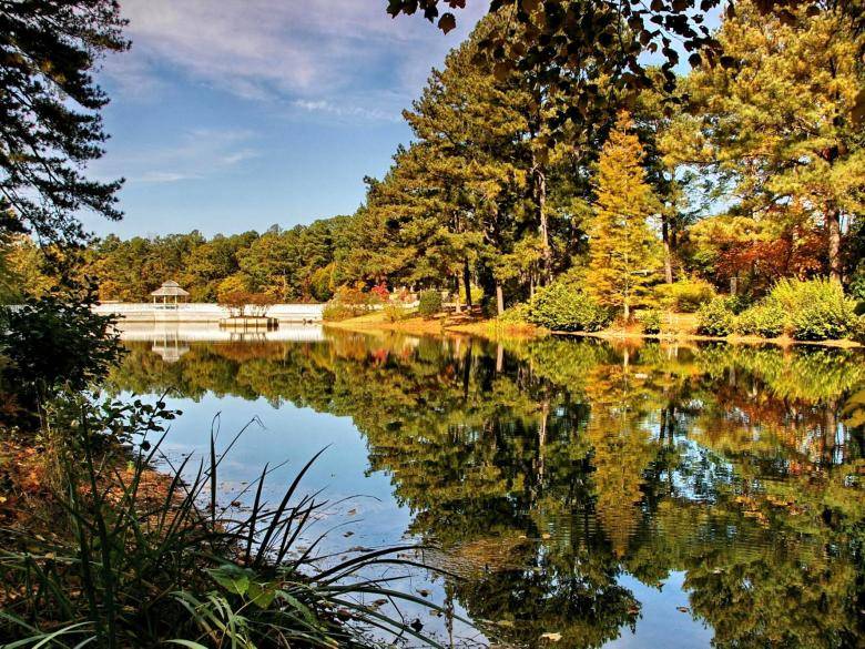 Vines Park and Mansion Official Tourism & Travel site