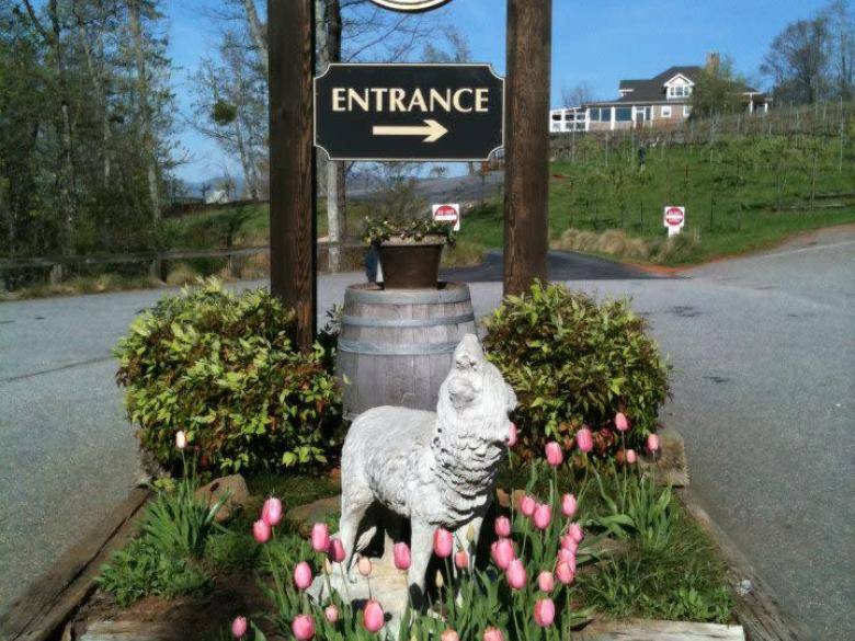 wolf mountain wine prices