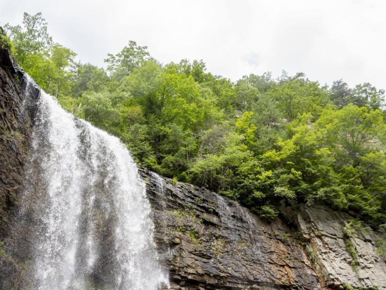 Lula Lake Land Trust Official Tourism & Travel Website