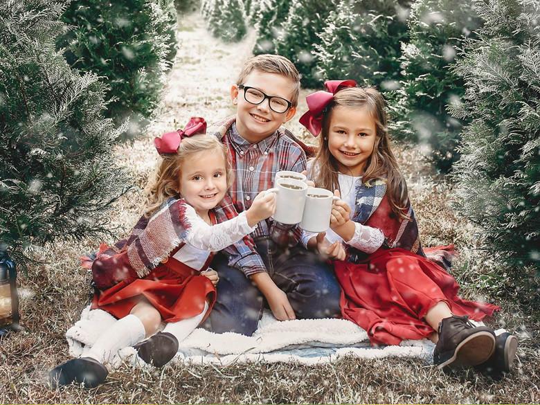 Raulston Acres Christmas Tree Farm Official Tourism & Travel