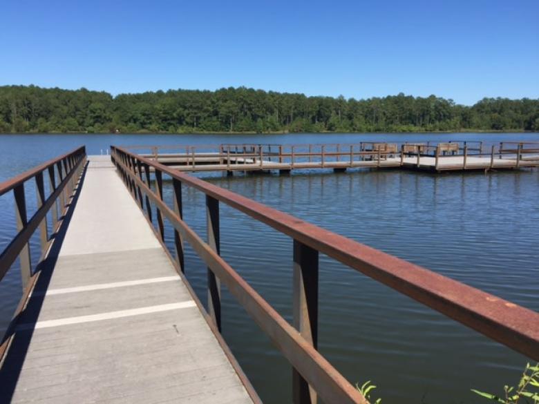 Black Shoals Park at Randy Poynter Lake Official Tourism