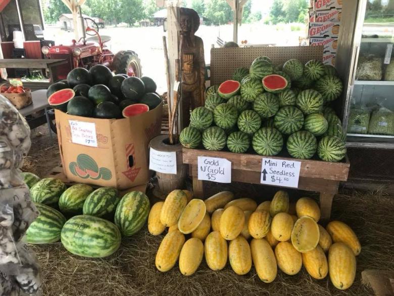 Mark's Melon Patch Official Tourism & Travel site