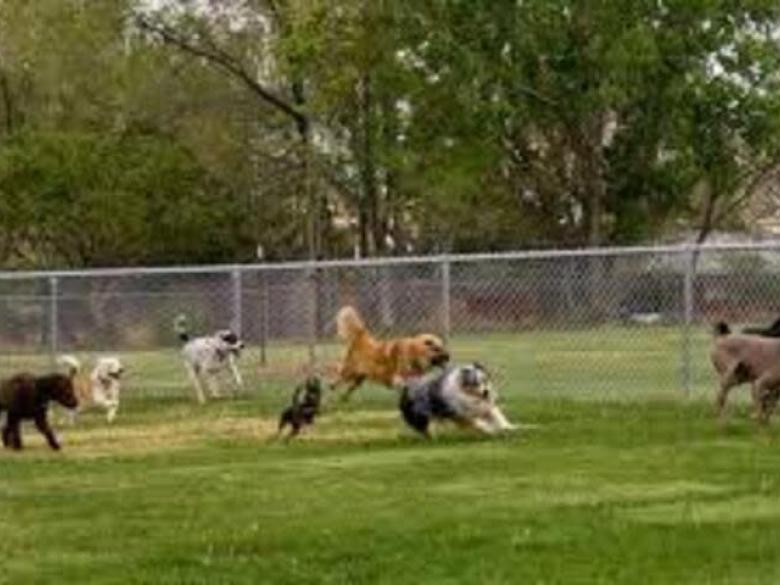 Mulberry Creek Community Center Official Tourism & Travel site Explore