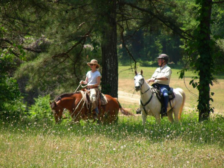 Multi-use Trails at the Georgia International Horse Park | Official