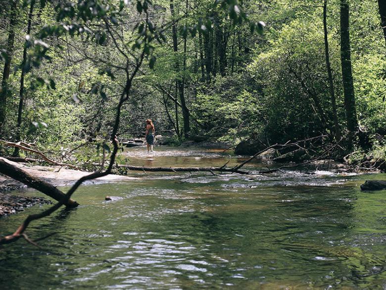 Boggs Creek Day Use Official Tourism & Travel site