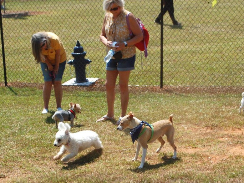 Richardson Dog Park | Explore Georgia