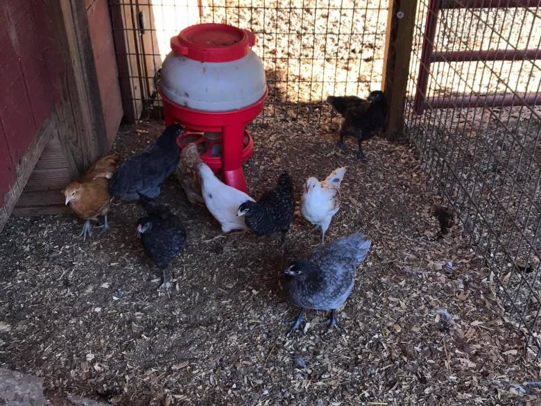 Nu Sunrise Farms Official Tourism & Travel site Explore