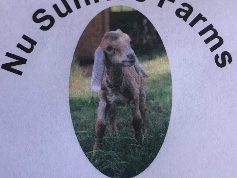 Nu Sunrise Farms Official Tourism & Travel site Explore