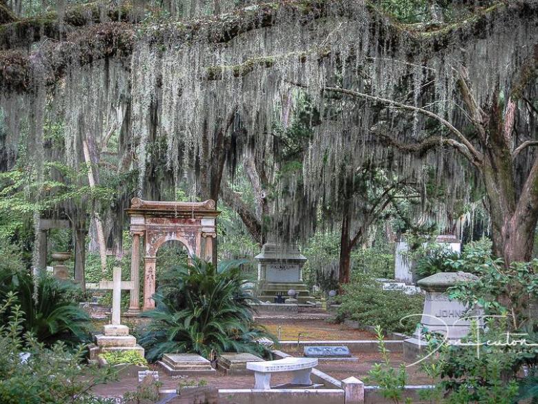 Bonaventure Cemetery Official Tourism & Travel site Explore