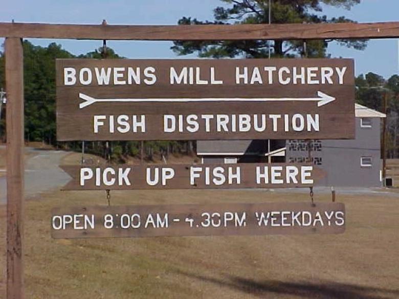 Bowens Mill Fish Hatchery Tour Official Tourism & Travel