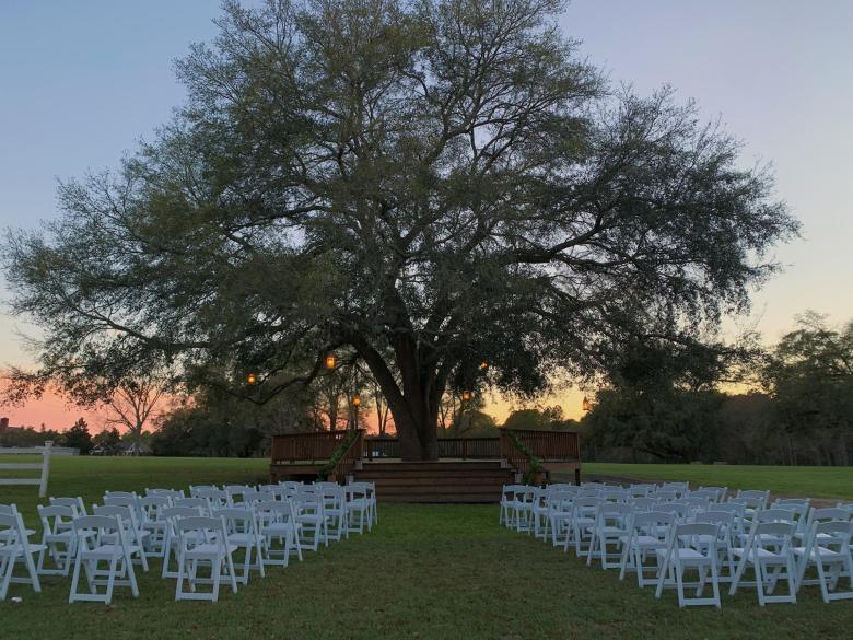 The Peacock Venue Official Tourism & Travel site Explore