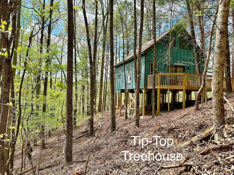 Tip Top Treehouse Official Tourism & Travel site Explore
