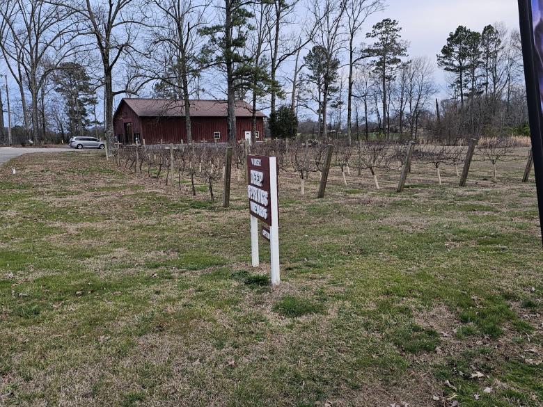 Deep Springs Vineyards | Official Georgia Tourism & Travel Website ...