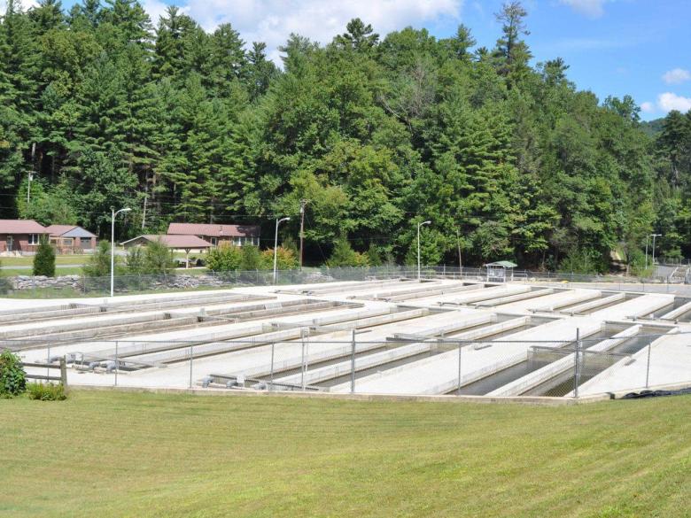 Chattahoochee Forest National Fish Hatchery Official Tourism