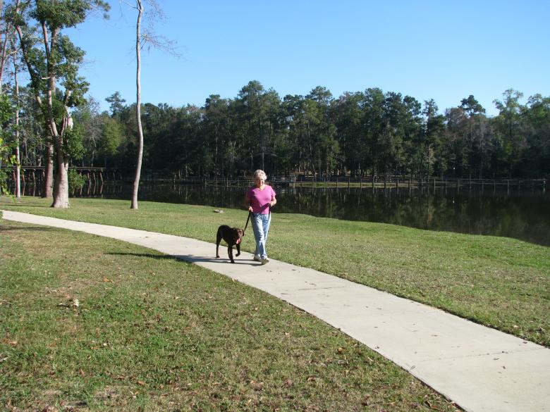 Cherokee Lake Park Official Tourism & Travel site Explore