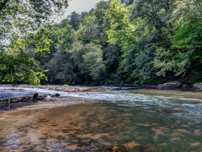 Chestatee River Adventures Official Tourism & Travel site