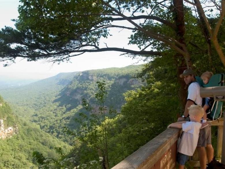 122 Cloudland Canyon Park Rd Rising Fawn, Ga 30738
