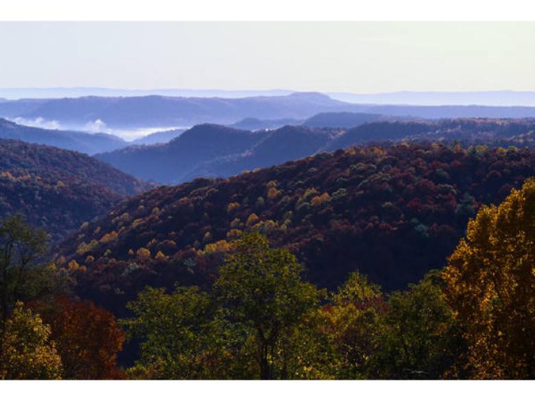 Cohutta Wilderness Area Official Tourism & Travel site