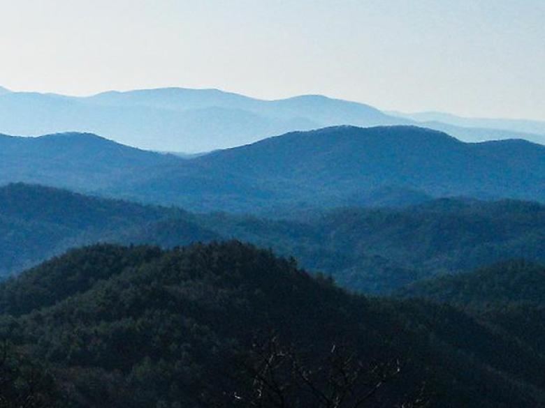 Cohutta Wildlife Management Area Official Tourism & Travel